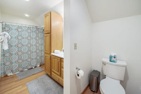 Interior view of a cozy bathroom showcasing a shower with a patterned curtain and a toilet area with toiletries.