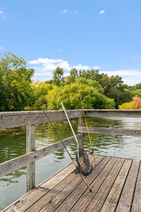 Two fishing rods and a net resting on a wooden dock by the water.