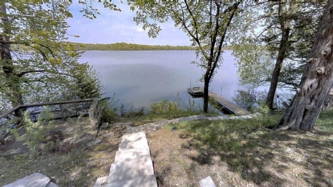 A serene lakeside scene with a dock and trees.