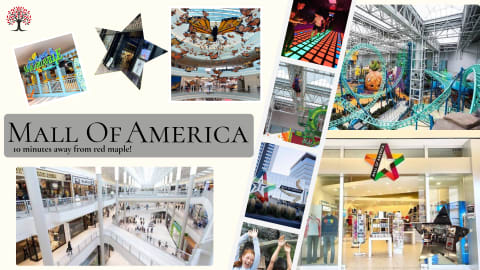 Collage of the Mall of America featuring attractions, shops, and a vibrant dance floor.