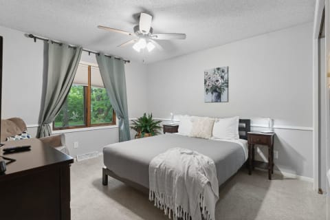 Cozy bedroom featuring a gray bedspread, blue-green curtains, a nightstand with a lamp, and a decorative plant.