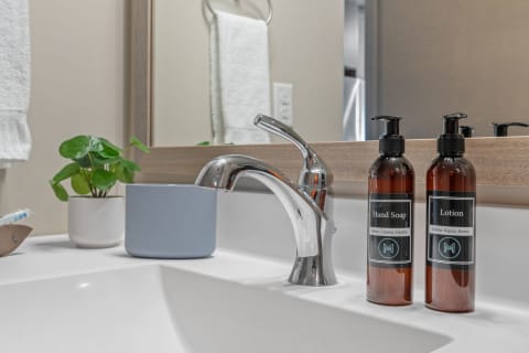 Modern bathroom sink with a chrome faucet, plant, hand soap, and lotion bottles.