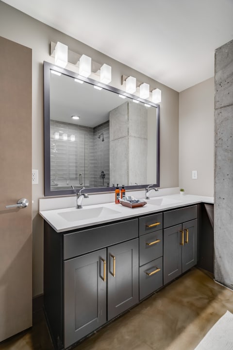 Modern bathroom featuring a double vanity with dark cabinetry and an industrial touch.