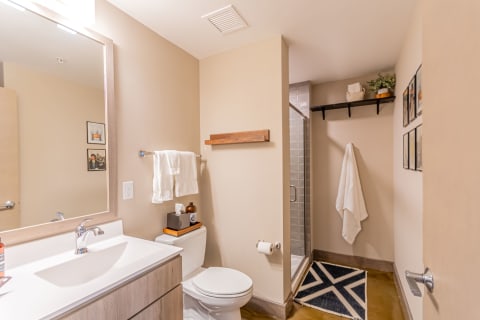 Interior view of a modern bathroom with a vanity, shower, and decorative details.