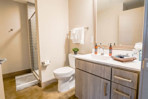 A contemporary bathroom with a walk-in shower, toilet, vanity, and potted plant.
