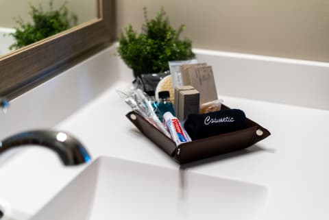 Bathroom countertop with a leather tray filled with toiletries and a small plant.