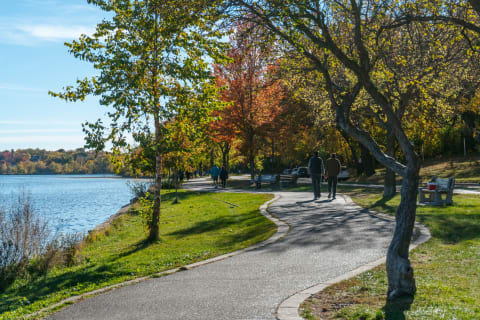 Lakeside park with autumn trees and a path, two people walking along the water.