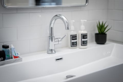 A contemporary bathroom sink with a chrome faucet, toiletries, and a decorative plant.