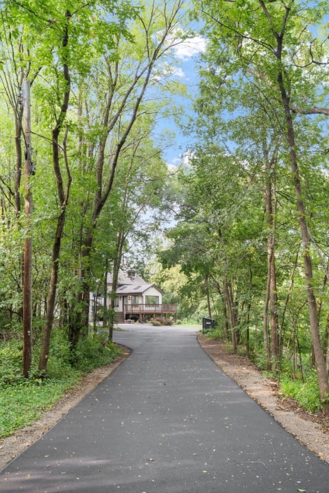 Winding driveway surrounded by trees leading to a house.